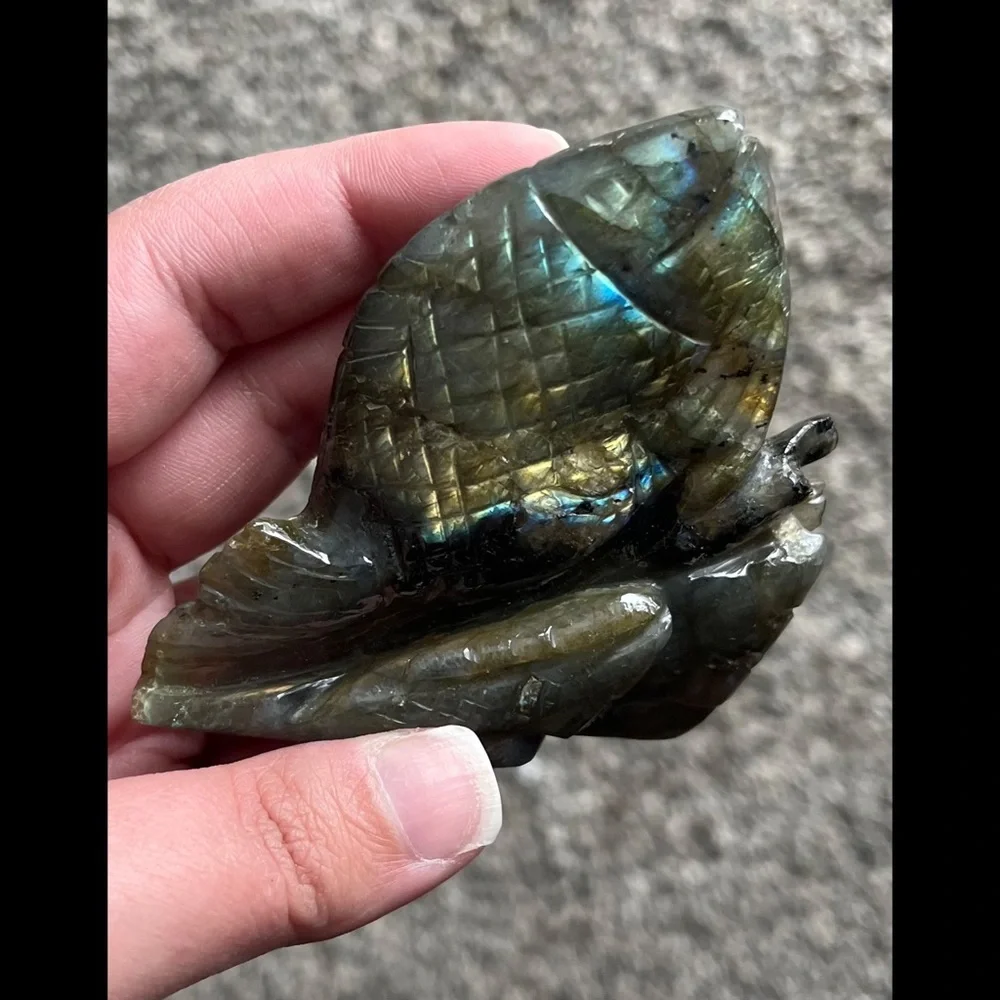 🐟 Fish Labradorite Carving/Figurine